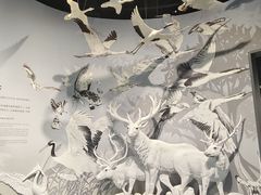 -中国湿地博物馆