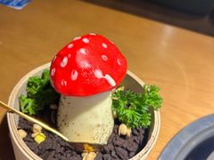 -菌彩云南野生菌火锅(万达广场店)