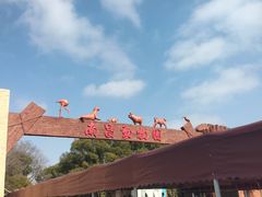 -南昌动物园