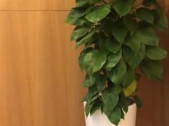 -上海美兆健康医疗体检中心(古北店)