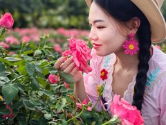 -亚龙湾国际玫瑰谷