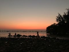 -宝安西湾红树林湿地公园