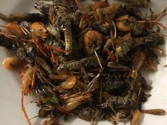 -8号蒸饺精品炖鸽子(康特商街店)