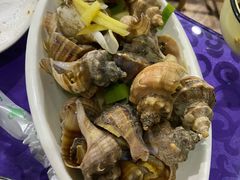 小海螺-威海渔村(静安旗舰店)