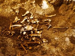 -怀托摩萤火虫洞