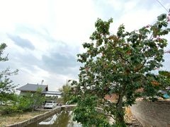 -樱桃山旅游景区