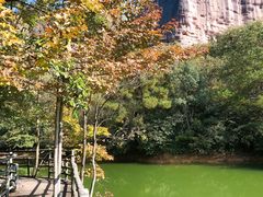 -江西龙虎山景区