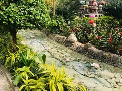 -南宫五洲植物乐园