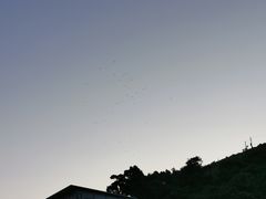 -大澳渔村及棚屋