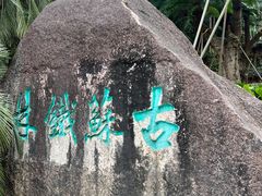 -深圳仙湖植物园