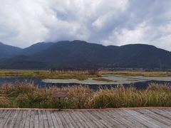 -腾冲北海湿地