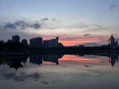 -莲花池公园