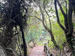 -普者黑风景区-青龙山