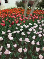 点击看大图 -玄武湖景区-情侣园游乐场