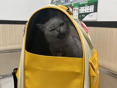 -瑞派宠物医院(搏威敦和院)