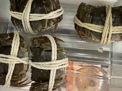 -阳澄湖大闸蟹·琼灵阁牌品牌连锁(吴中总店)