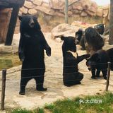 野生动物园