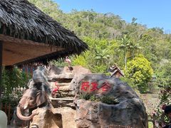 -野象谷景区