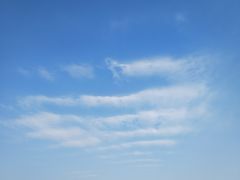 -河间老万驴肉火烧(福建北路店)