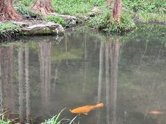 -杭州动物园