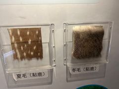 -北京麋鹿生态实验中心