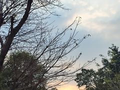 -广州市白云山风景名胜区