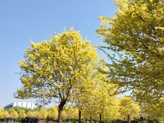 -永定河休闲森林公园
