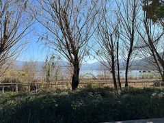 -西昌邛海湿地