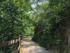 -大岭沟猕猴桃谷风景区