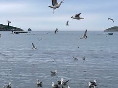 -银沙滩浴场