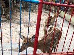 -荆州中山公园动物园