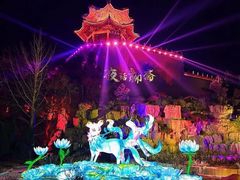 -淄博花灯齐彩城