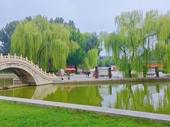 -达活泉公园