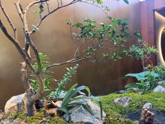 -FOOOO CITY CLUB 孚乐里音乐西餐酒吧(来福士店)