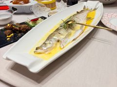 鸡汁大白鱼-颂福楼·南京菜(定淮门店)