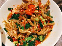 鸭掌筋-壹盏灯(惠农店)