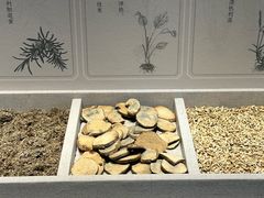 -中国湿地博物馆