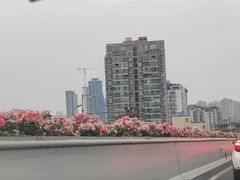 -有红鸡毛店·川菜(建设路店)