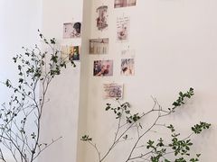 -团子君寿司·茶