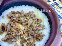 -鸽小宝(深圳首店)