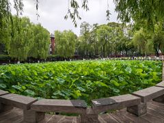 -四川大学(望江校区)