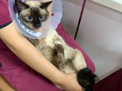 -宠颐生中康贝怡动物医院