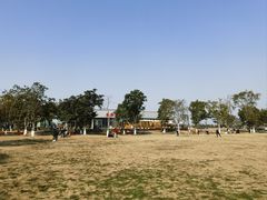 -桂溪生态公园