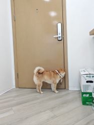 -HEYAN荷妍专业脱毛连锁机构