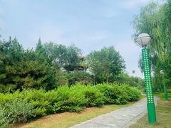 景点-滨河世纪广场公园