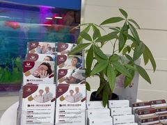 -雅悦齿科(顾村公园店)