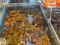 -山东八大碗山东老字号