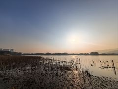 -长田漾湿地公园