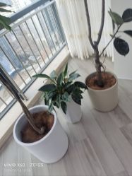 -HEYAN荷妍专业脱毛连锁机构