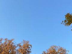 -北京石刻艺术博物馆(五塔寺)